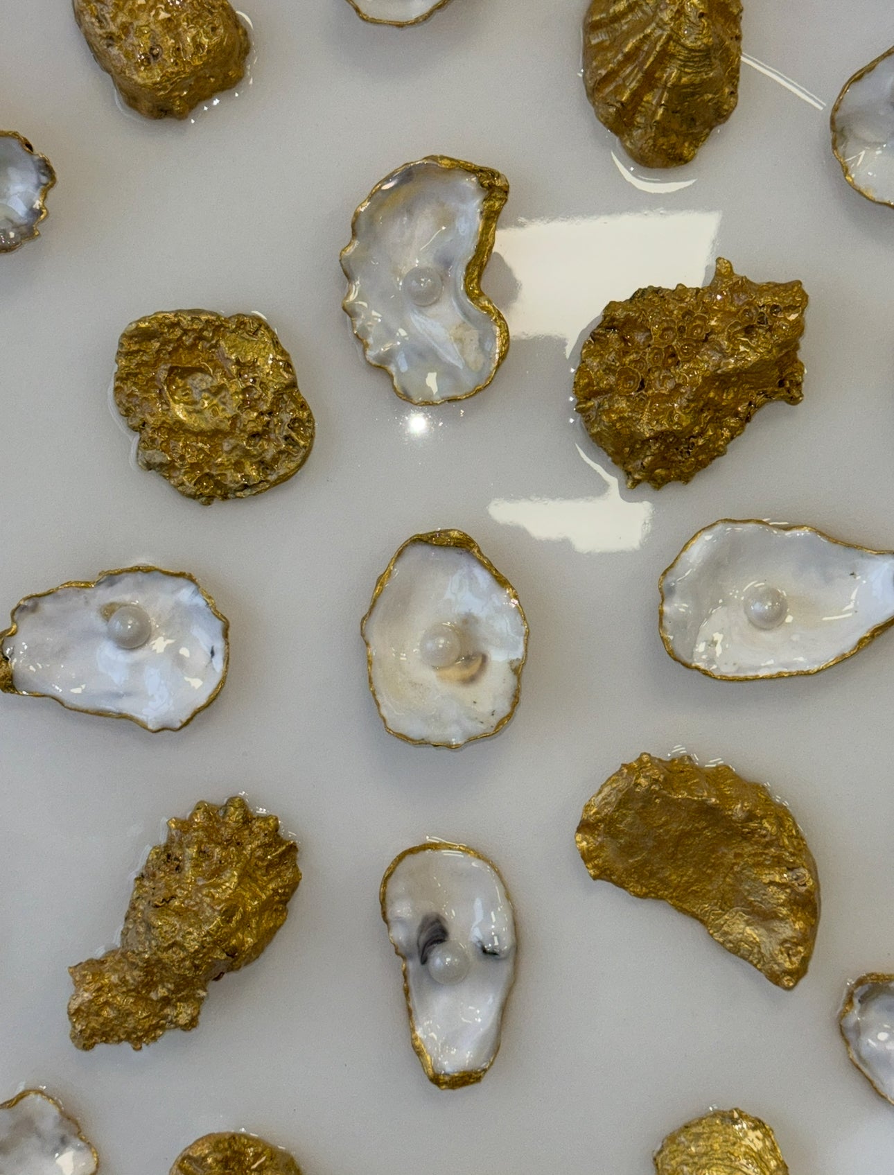 Treasures of the sea