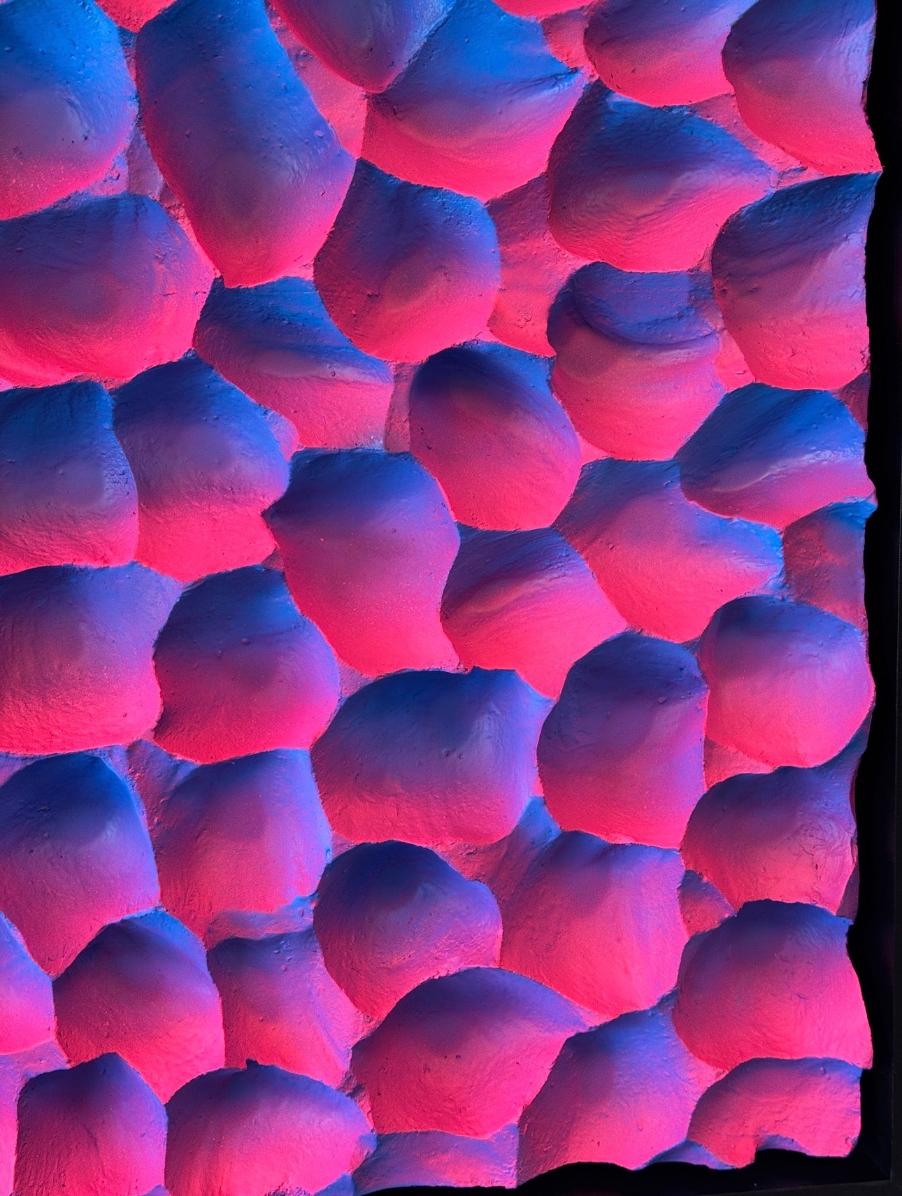 Blossem Surge