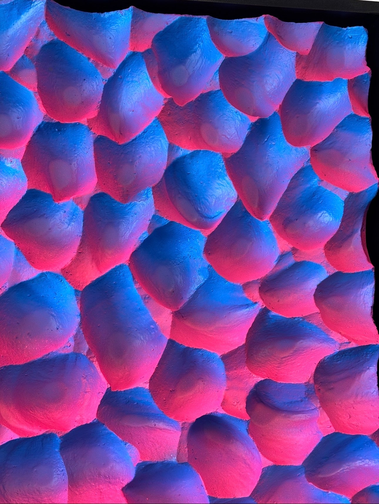 Blossem Surge